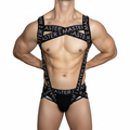 “THE MASTER” FULL HARNESS