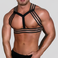MUSCLE HARNESS